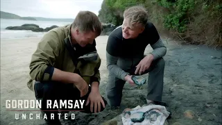 Exploring Unique Fish Cooking Techniques in New Zealand | Gordon Ramsay: Uncharted