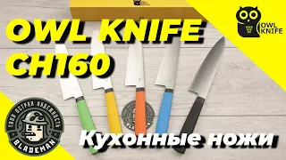 Кухонный нож мини Шеф OWL KNIFE CH160 F, N690 Cryo, G10