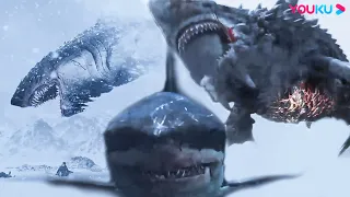 [مجموعة القرش]｜ حل الصيف، تدعوك أسماك القرش للهروب من حرارة الماء!｜YOUKU