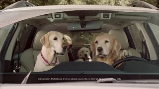 Subaru Dog Tested I Subaru Commercial I Car Wash
