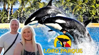 Loro Parque Tenerife 2023 | One Of The Must Visit Attractions Of Tenerife!