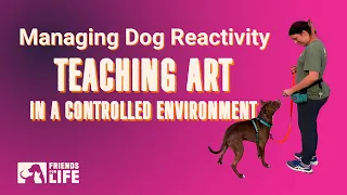 Managing Dog Reactivity - Teaching ART in a Controlled Environment (Part 3)