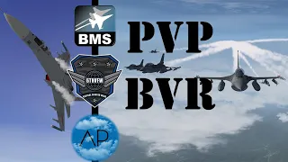 Falcon BMS 4.35 PvP - F-16C vs J-11s - 4v4  BVR