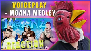 MY FAVORITE DISNEY MOVIE | ROOSTER REACTS | VoicePlay Ft. Rachel Potter  - Moana Medley M/V