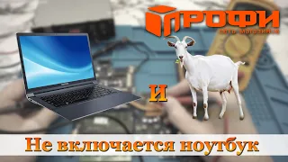 Не включается ноутбук HP или как устранить КоЗу!