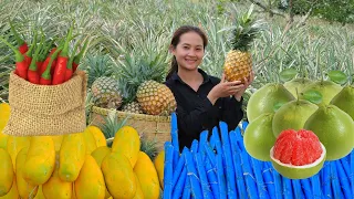 Full Video: 120Day Harvesting Pineapple, Yellow Giant Squash, Green Sugarcane Goes To Market Sell