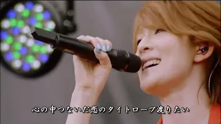 白いカイト    My Little Lover with Bank Band    ap Bank fes 09  LIVE