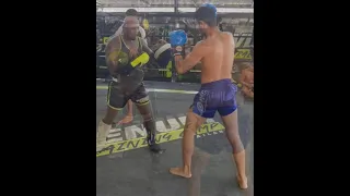 Muay Femur pad work from Sajad Sattarii