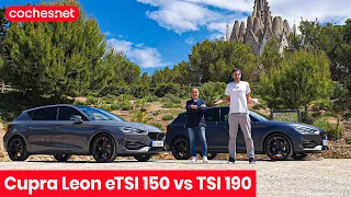 Cupra Leon eTSI 150 CV vs TSI 190 CV | Prueba / Test / Review en español | coches.net