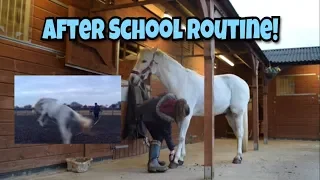 After School Riding Routine // Lunging