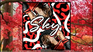 Playboi Carti "Sky" But it's latin