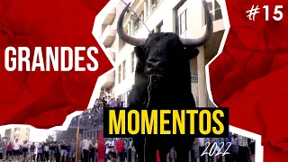 🤩 GRANDES MOMENTOS de 2022 · Decimoquinta parte