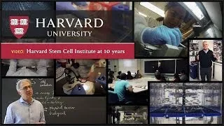 The Harvard Stem Cell Institute at 10: Moving Toward the Clinic