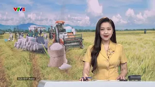 Bản tin thời sự tiếng Việt 12h - 31/07/2023 | VTV4