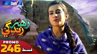 Zahar Zindagi - Ep 246 Promo | Sindh TV Soap Serial | SindhTVHD Drama