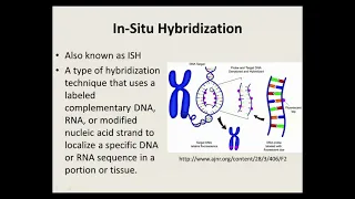 Learn it in a Minute: In Situ Hybridization