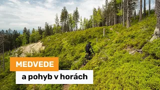 Medvede a pohyb v horách – realita a skúsenosti ako zvýšiť bezpečnosť