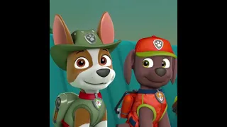Learn Spanish with Tracker from Paw Patrol