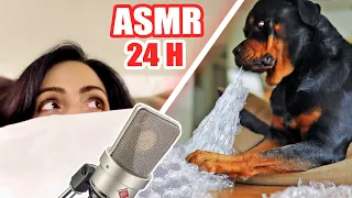 24 H ASMR VIDEO with my DOG🤐🐕 | SandraCiresArt