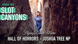 225: Hall of Horrors SLOT CANYONS (Hiking in Joshua Tree National Park)