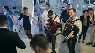 Orkestar Lavovi & Aleksandar Antić 🪗🪗🎹🥁🍷