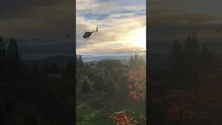 Christmas Tree Helicopter Harvest || ViralHog