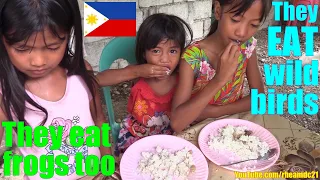 These Poor Hungry Filipino Children Eat Wild Birds from the Wild. Deep Poverty in the Philippines