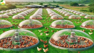 Ways Farm With Mobile Chicken Coops, Modern Machines That Are At Another Level | Farming Documentary