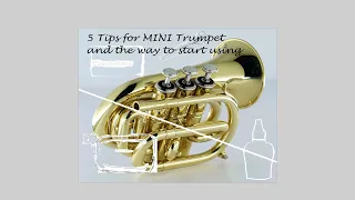 5 Tips for CarolBrass MINI Trumpet and the way to start using