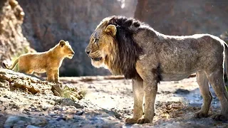 THE LION KING "Simba vs Scar! (2019)" Clip  (2019)