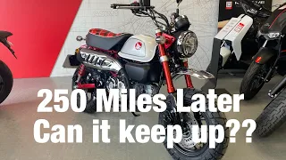 2023 Honda Monkey Review | Thoughts after 250 miles