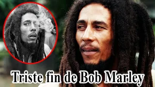 La vie et la triste fin de Bob Marley