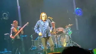 Todd Rundgren Down With the Ship