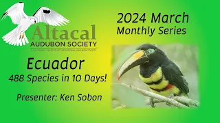 Ecuador - 488 Species in 10 Days! - March 2024