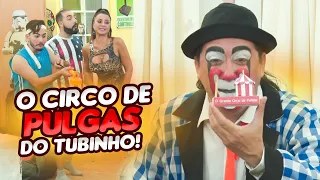 TUBINHO - AS PULGAS AMESTRADAS