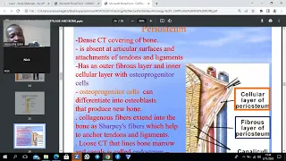 Bone and Cartilage Histology Summary