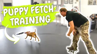 VIZSLA PUPPY TRAINING | Teach Fetch Using Toys and Food