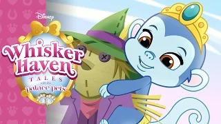 Whisker Haven Buddies Day | Whisker Haven Tales with the Palace Pets | Disney Junior