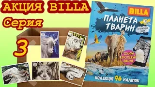 Обзор акции BILLA. 📕 Книга-альбом - Планета животных, серия 3 (Не Льорки)