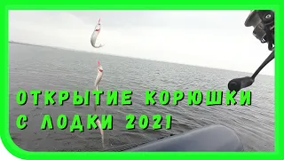 Открытие сезона 2021 Корюшка с лодки