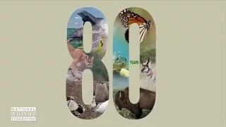 National Wildlife Federation celebrates 80 years!