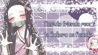 ꧁ ༒ Naruto and friends react Sakura Haruno as Nezuko Kamado ༒꧂[]  //REACT//  [] { Naruto🍜 }