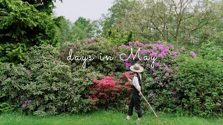 #106 Days in May: Vegetables Garden, Baking Focaccia..