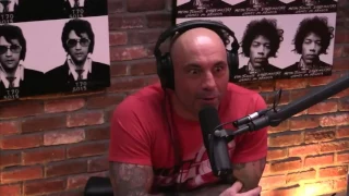 Joe Rogan on Sharks "They scare the fuck out out of me"