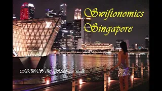 Swiftonomics Singapore MBS & Stadium Walk (Taylor Swift Eras Tour Day 5) Concert-goers info.