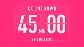 45 Minutes Countdown Flip Clock Timer / Vibration Beep 💓