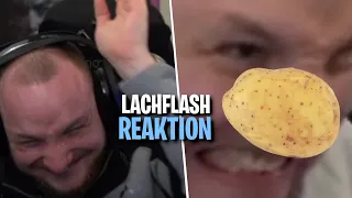 REAKTION auf DIE BESTEN ELoTRiX Clips des Monats Februar 2021 - LACHFLASH | ELoTRiX Highlights