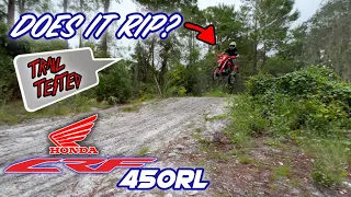 First Impressions of the 2022 Honda CRF450RL Offroad! | Does this dual sport rip the trails?