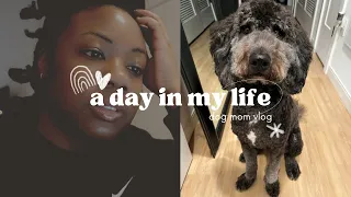A Day In My Life: Dog Mom Vlog