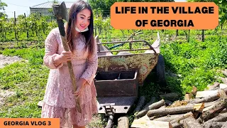 A Village life in GEORGIA | Georgia, Sighnagi